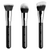 Sigma Complexion Air Trio Brush Set